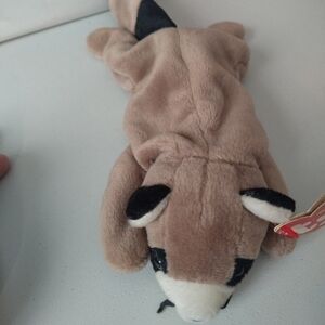𝅺RINGO the racoon ty beanie baby. Good condition.